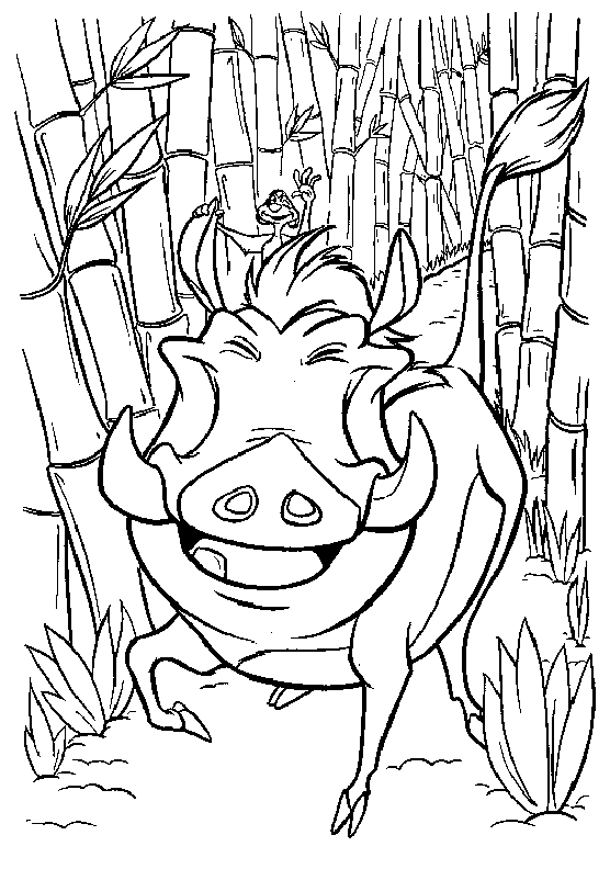 Coloriage pumbaa et timon (Coloriages le roi lion)  jeu pour fille